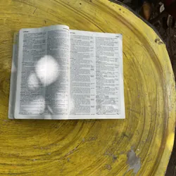 COLLINS COBUILD ENGLISH DICTIONARY HELPING LEARNERS WITH REAL ENGLISH  576397