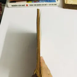 LUẬN ĐỀ VỀ NGUYỄN CÔNG TRỨ  752729