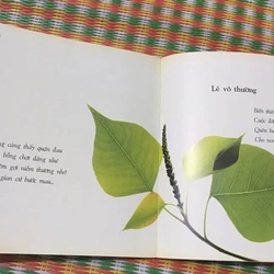 Những bài thơ được nhiều người yêu thích của Tôn Nữ Hỷ Khương - Hãy cho nhau 463308