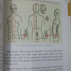 DƯỠNG SINH THÔNG KINH LẠC  517246
