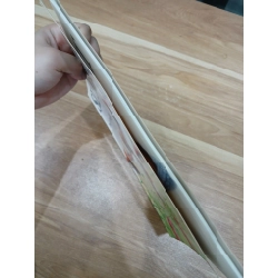 Slobcat - Paul Geraghty 547752