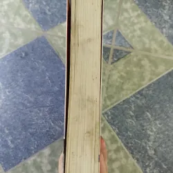 Đặng Tiểu Bình một trí tuệ siêu việt - Lưu Cường Luân & Uông Đại Lý 700320