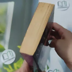 Seduction of a Highland Lass - Maya Banks 1027572