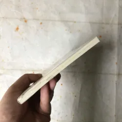 Tiếng Gọi Chân Trời - Nguyễn Ngọc Tư 778384