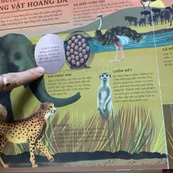 Atlas da tương tác  về động vật hoang dã 766035