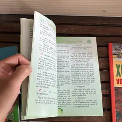 II Cây Cảnh: Xương Rồng Và Cây Mọng Nước (Sách Màu) - Dương Ngọc Hiệp 718583