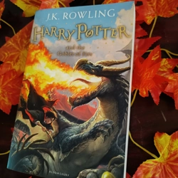 Harry Potter and the Goblet of Fire Paperback 