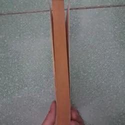 The children of the new forest 997375