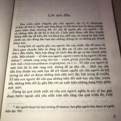 Nguồn góc loài người 996394