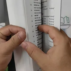 Sau Một Cuộc Đời - Bảo Cường 798321