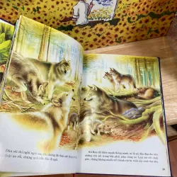 Thảo Nguyên Kỳ Diệu 928075