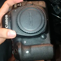 Canon 5d4 và lens 50stm 558832
