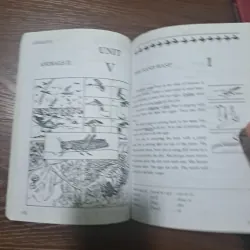 Facts & Fingure (3rd edition) - Patricia Ackert 805612