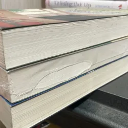 Nguỵ chứng của Solomon - Miyabe Miyuki ( tiểu thuyết trinh thám ) ( 3 tập ) 1009093