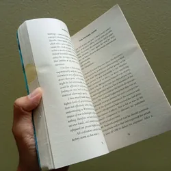 The second sleep, sách ngoại văn tiếng Anh, english book, tiểu thuyết  603466