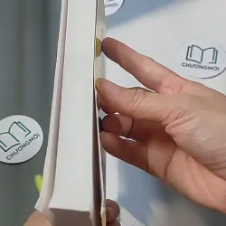 Quản trị nguồn nhân lực - PGS TS Đồng Thị Thanh Phương 688536