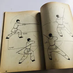 THIẾU LÂM MAI HOA TIÊN 597122