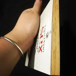 Sex Và Những Thứ Khác - Tâm Phan 759130