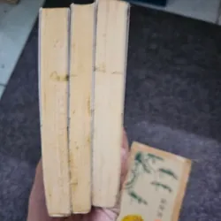 Về, Cội, Nguồn - Tôn Thất Nguyễn Thiêm 738635