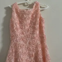 Váy hoa hồng 933393