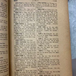 VIỆT NAM TÂN TỪ ĐIỂN 931263