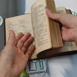 [MIỄN PHÍ BỌC SÁCH] Từ Điển Việt Hán Tối Tân 749553