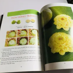 NGHỆ THUẬT TRANG TRÍ & CẮT TỈA TRÁI CÂY 777971