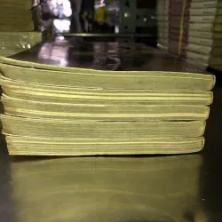 Blood Alone - Masayuki Takano 973757