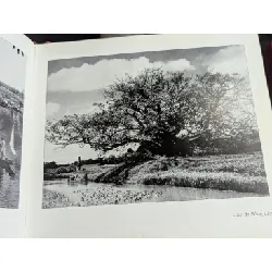 Ảnh nghệ thuật Đăng Quang 698237