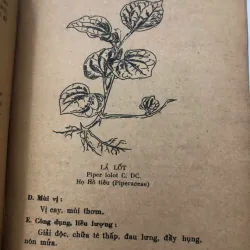 Cây thuốc và bài thuốc trị bảy bệnh thông thường – Nhiều tác giả 998411