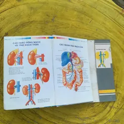 TỪ ĐIỂN Y HỌC ANH - VIỆT  nhà xuất bản từ điển Bách Khoa 790404