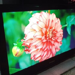 [Tivi Samsung 32" LCD Phụ kiện đầy đủ ] Tivi Samsung 32" Thanh Lý 6235