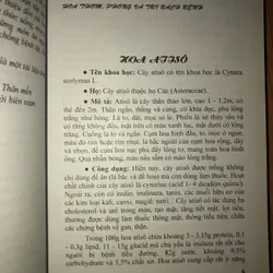 Hoa thơm - phòng và trị bệnh  723110