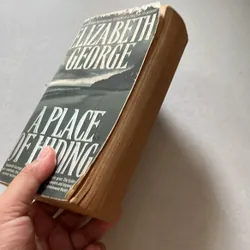 A place of hiding - Elizabeth George 673869