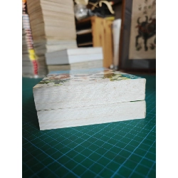 Thiếu nữ toàn phong 493855