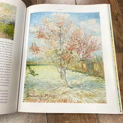 Van Gogh Paintings • The Masterpieces | by Blenda Thompson * Thames and Hudson Publisher  384217