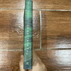 Cô gái trên tàu (15) 1029074