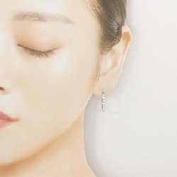 PT900 Bông tai kim cương 0.58CT - Hàng hiệu Chính hãng 867942