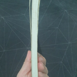 "Lần đầu bên nhau" - Thái Trí Hằng 496645