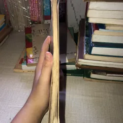 Thú chơi non bộ và kiểng bonsai 970620