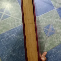 Từ điển văn hóa Việt Nam 1032752