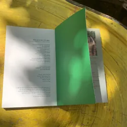 NHỮNG NGHIỆM ĐỌC- ĐẶNG THỊ BÍCH HỒNG- tiểu luận & phê bình  784296