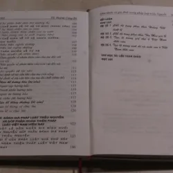 Hôn nhân và gia đình trong pháp luật triều Nguyễn 973725