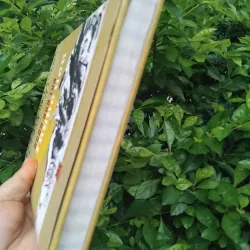 Ngôn ngữ thơ Trung Hoa của Francois Cheng  1001942