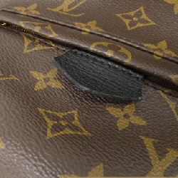 Ba lô Louis Vuitton Monogram Palm Springs PM M41560 611648