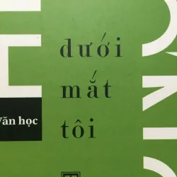 [PHÊ BÌNH] Dưới mắt tôi - Trương Chính