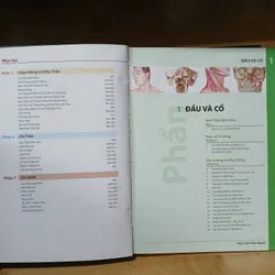 Atlas Giải Phẫu Người (Ấn Bản Lần Thứ 6) - Frank H. Netter, MD 570689