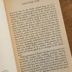 Sách ngoại văn Narziss and Goldmund - Herman Hesse 1031987