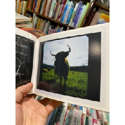 A Photographic Esaay of The Macallan Estate - Rankin 735506