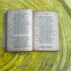 TRUYỆN KIỀU - NGUYỄN DU 733130